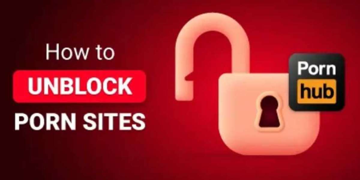 Digital Privacy: Navigating Security in Social Networks